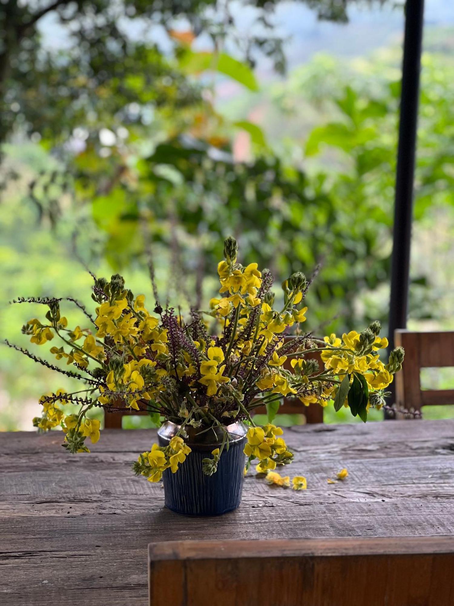 Vuon Tren May - Skyline Farm & Homestay Moc Chau Ngoại thất bức ảnh